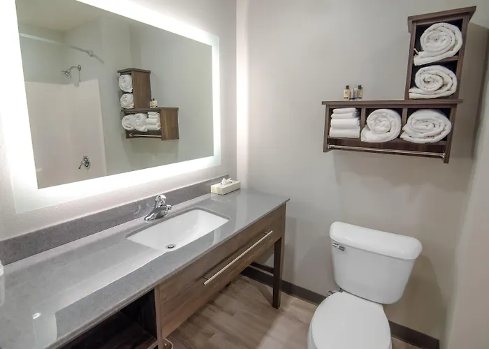 Sonesta Simply Hotel