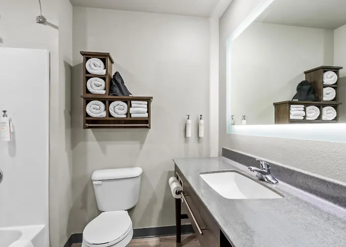 Sonesta Simply Hotel Avondale